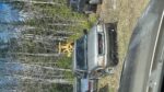 Scrap cars/trucks