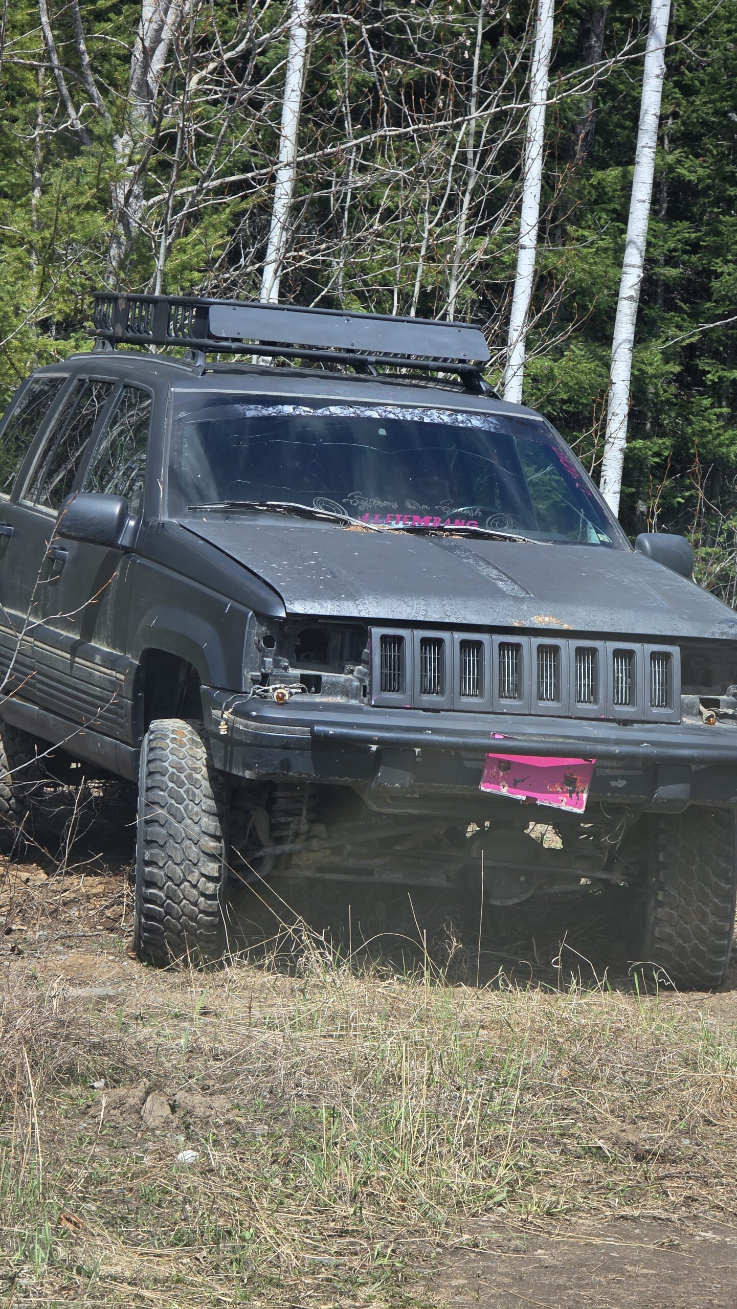 Scrap cars/trucks